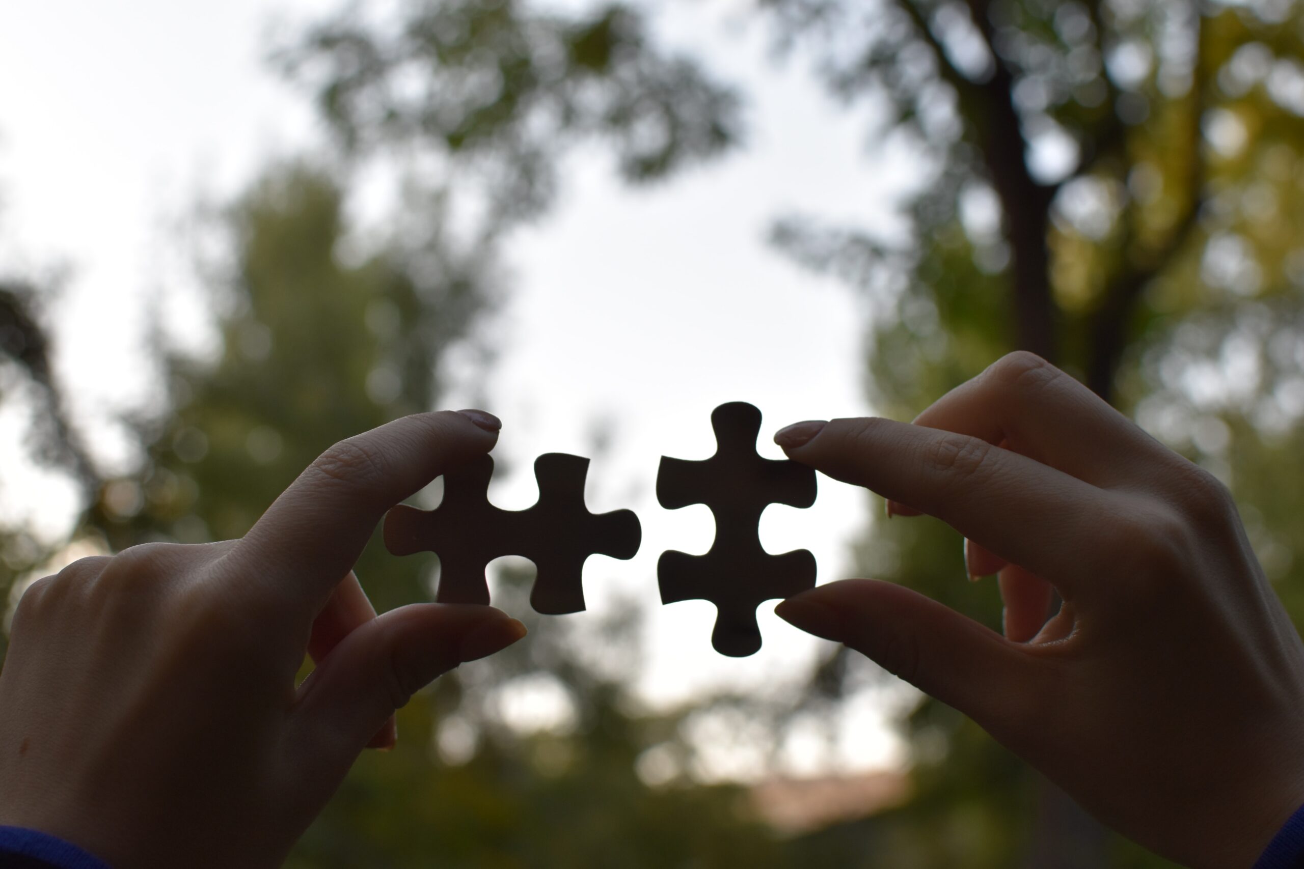 picture of two people holding and putting a piece of wooden jigsaw puzzle together